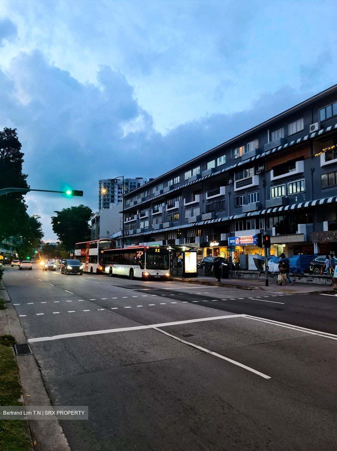 Tanjong Katong Road (D15), Retail #552805661